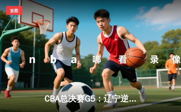 CBA总决赛G5：辽宁逆转广东夺赛点，赵继伟关键三分定乾坤